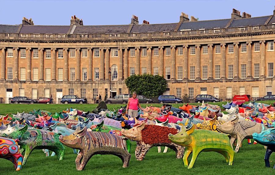 Pigs at the Royal Crescent