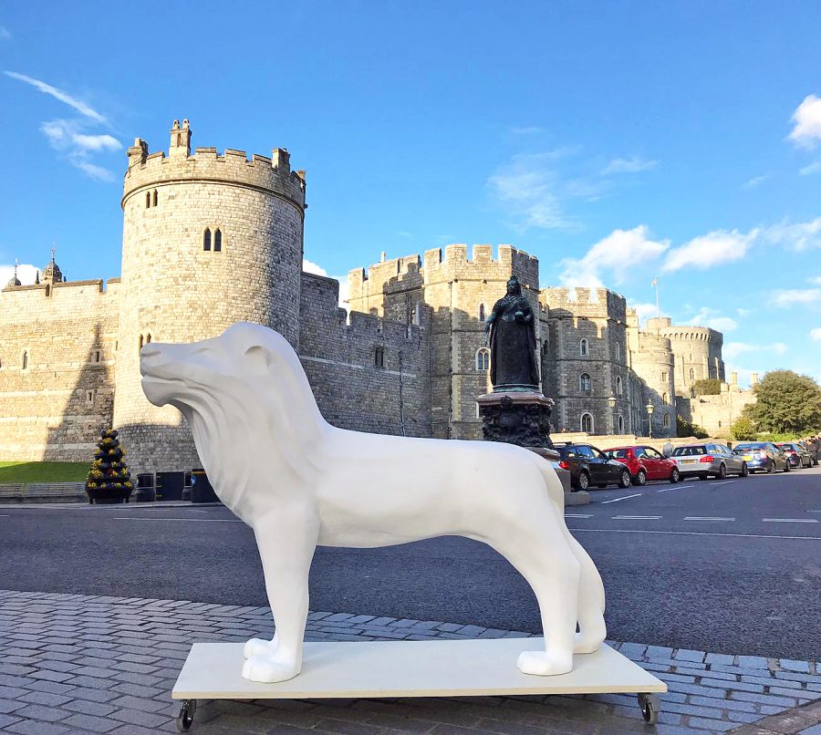 Leo’s day out in Windsor