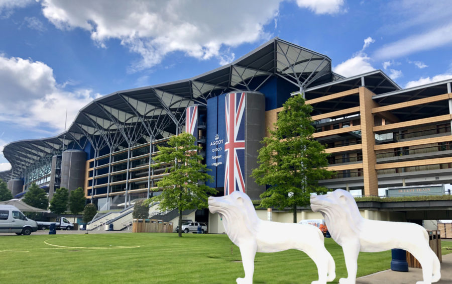 Lions head to Ascot Racecourse for Thames Valley Ascot Expo